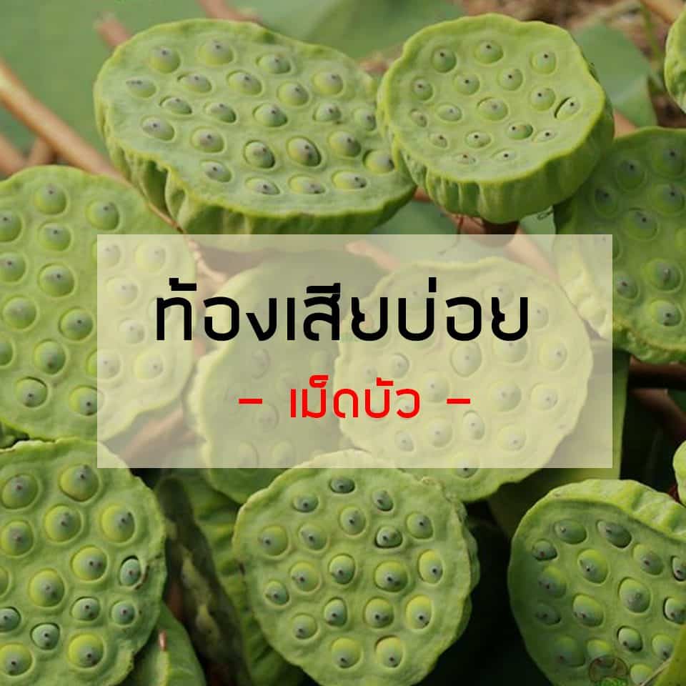 รับประทานอาหารชนิดใด? 18Medicine สามารถรับประทานเพื่อเป็น ยารักษาโรคได้ รวมมากกว่า 18 ชนิด 1