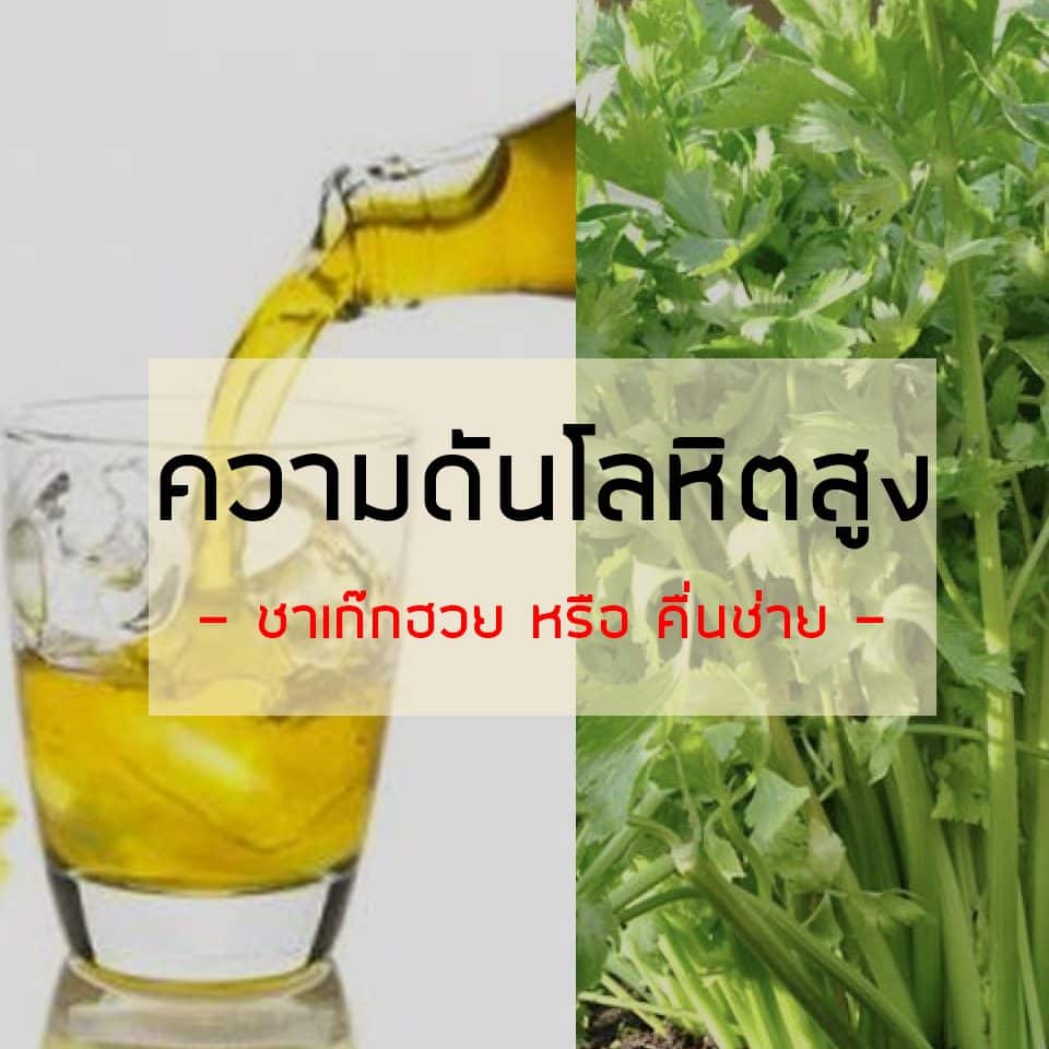 รับประทานอาหารชนิดใด? 18Medicine สามารถรับประทานเพื่อเป็น ยารักษาโรคได้ รวมมากกว่า 18 ชนิด 2