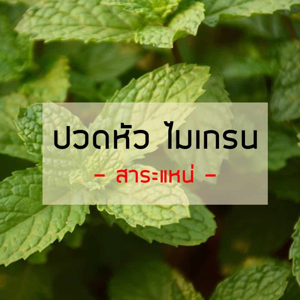 รับประทานอาหารชนิดใด? 18Medicine สามารถรับประทานเพื่อเป็น ยารักษาโรคได้ รวมมากกว่า 18 ชนิด 6