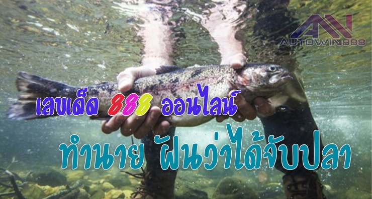 Predict Catch fish ฝันว่าได้จับปลา เลขเด็ดออนไลน์