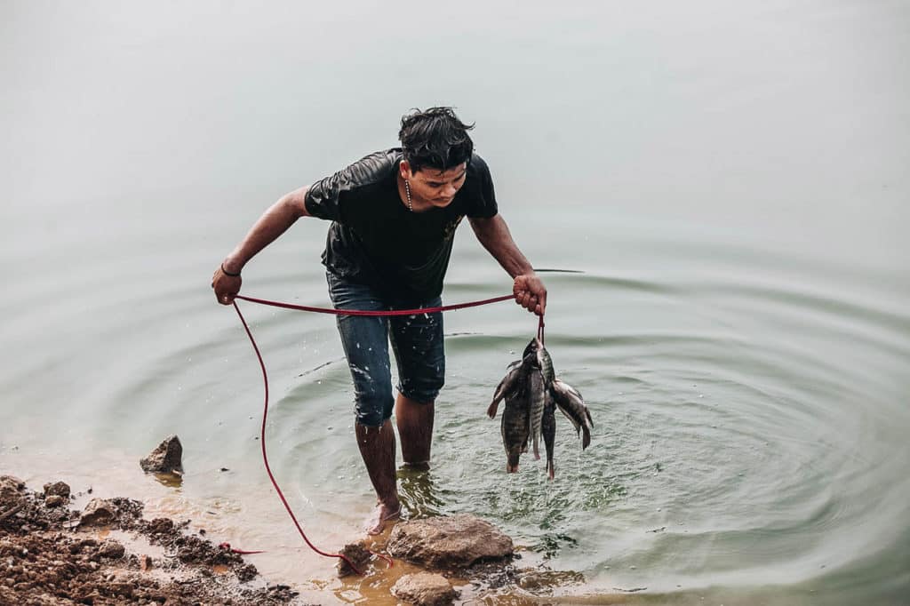 Predict Catch fish ฝันว่าได้จับปลา เลขเด็ดออนไลน์